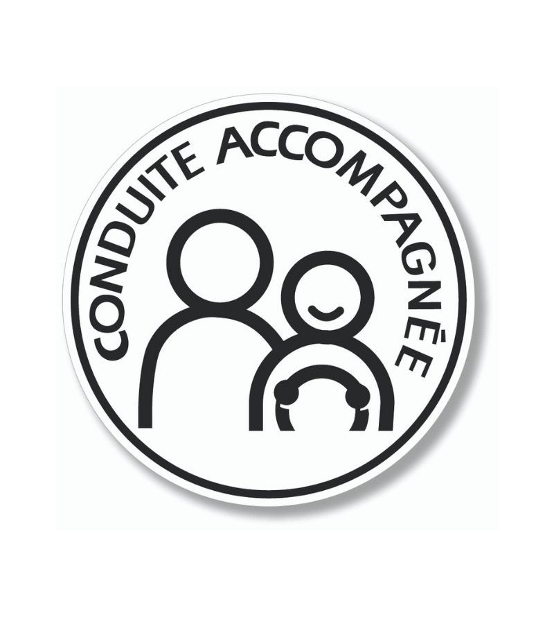 Disque conduite accompagnée électrostatique