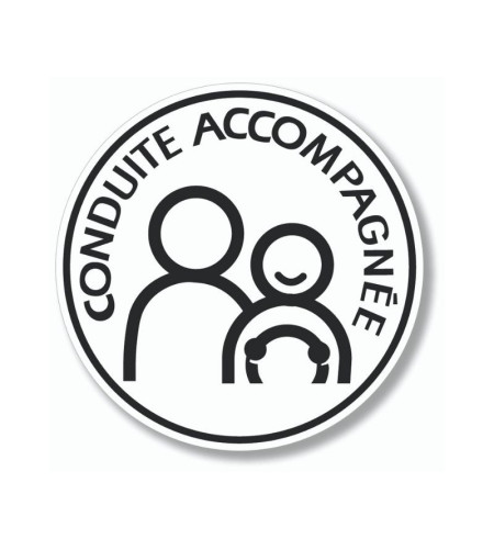 Disque conduite accompagnée électrostatique