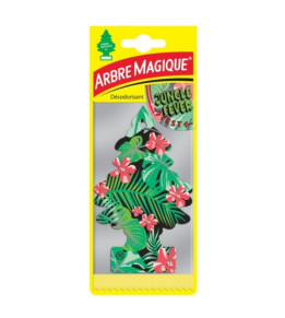 Lot de 12 désodorisants Arbre Magique Jungle Fever