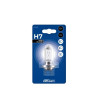 Lampe h7 12 volts et 55 watts pour voiture et auto pas cher