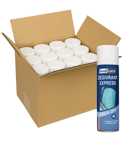 LOT DE 12 SUPER DEGIVRANT 400 ML